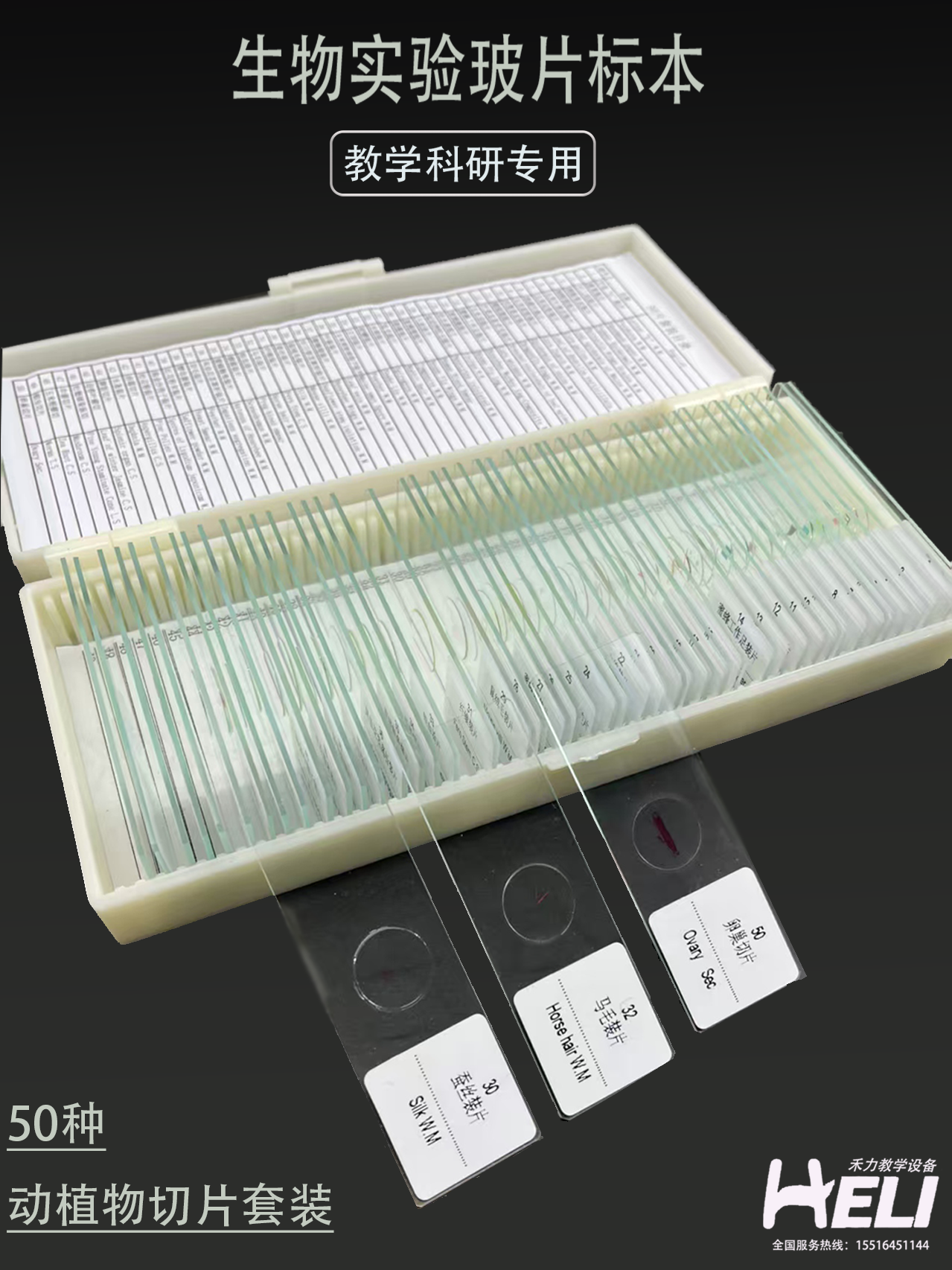 生物实验玻片标本