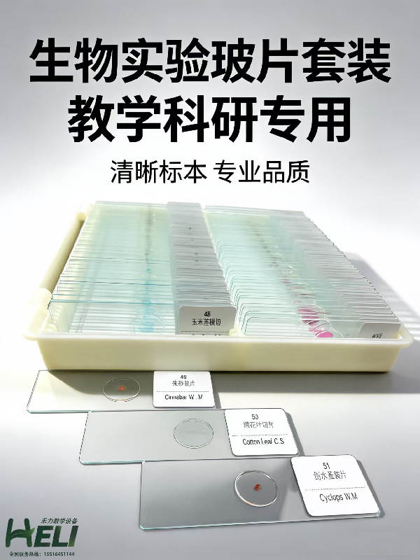 生物实验玻片标本