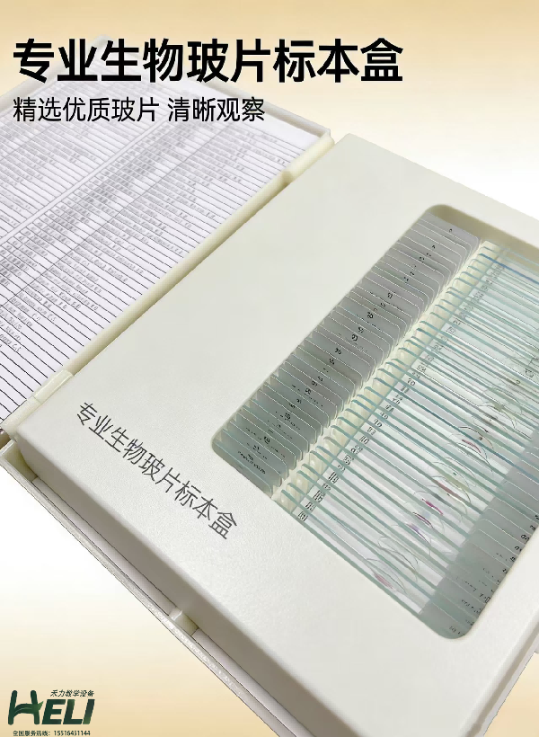 生物实验玻片标本